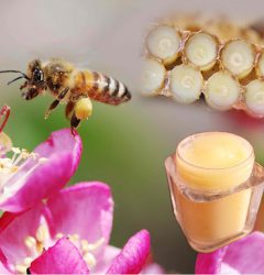 خواص عجیب عسل در درمان بیماری ها
