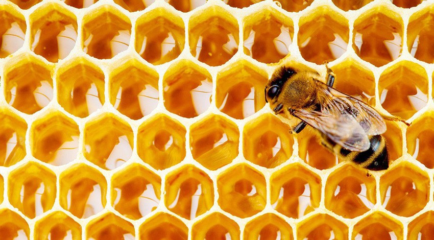 ویژگی های عسل طبیعی