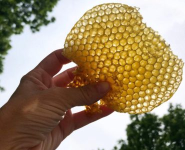تشخیص عسل طبیعی به روش زنبوردارها