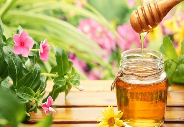 عسل گون بهتره یا چهل گیاه