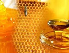 انواع عسل های موجود در ایران و خواص آن ها