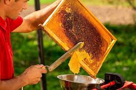  عسل با کیفیت را از عسل تقلبی